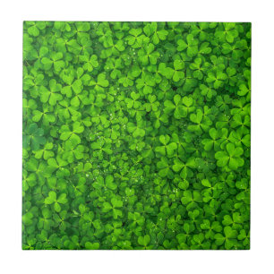 Shamrock Clovers Green Irish Symbol Ierland Tegeltje