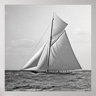 Shamrock II op Outer Mark 1901 BW Poster