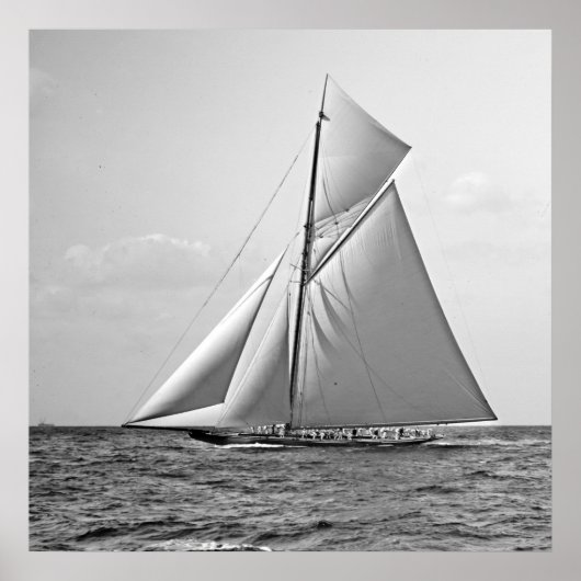 Shamrock II op Outer Mark 1901 BW Poster (Voorkant)