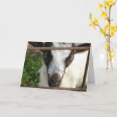 Shamrock Kaart (Gele Bloem)