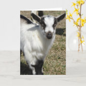 Shamrock Kaart (Gele Bloem)