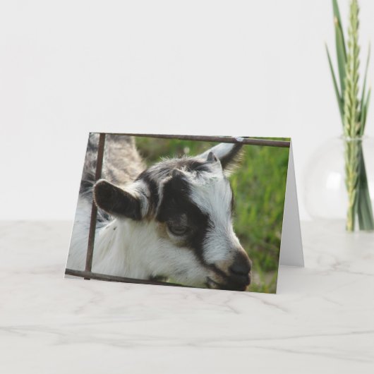 Shamrock Kaart (Voorkant)