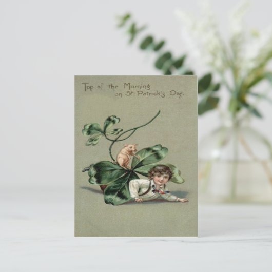 Shamrock Pig St Patrick's Day Kaart (Staand voorkant)
