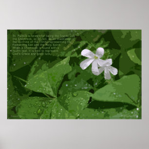 Shamrock Poster met Text -36x24-of kleiner