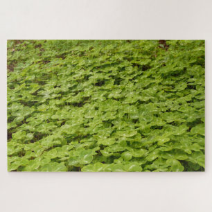 Shamrock Puzzle Legpuzzel
