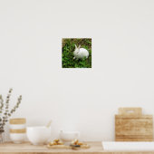 Shamrock Rabbit Poster (Keuken)