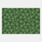 Shamrock Résumé Conception Enveloppement de papier (Devant 2)
