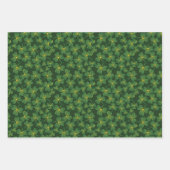 Shamrock Résumé Conception Enveloppement de papier (Devant)