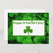 Shamrock St Patrick's Day Feestdagenkaart (Voorkant / Achterkant)
