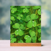 Shamrock vert St Patrick iPhone 5 Coque-Mate (Neutre)