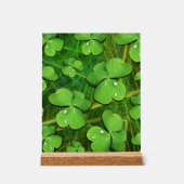Shamrock vert St Patrick iPhone 5 Coque-Mate (Recto)