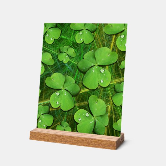 Shamrock vert St Patrick iPhone 5 Coque-Mate (Angle)