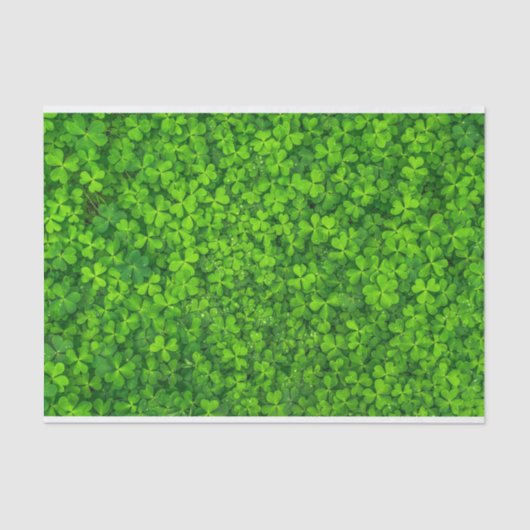 Shamrocks Clover laat St. Patrick's Day Festive Tissuepapier (Voorkant)