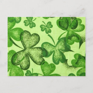 Shamrocks - Demande de carte postale