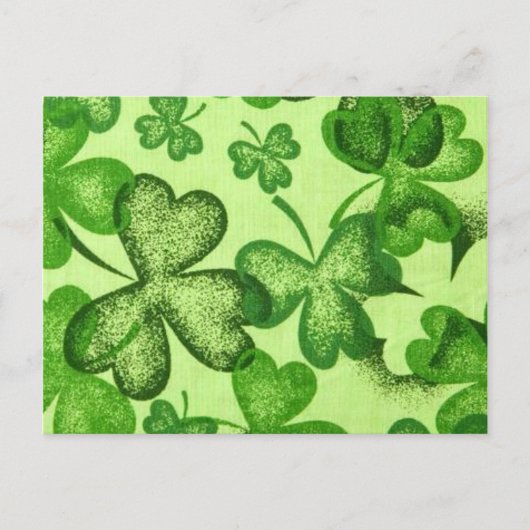 Shamrocks - Demande de carte postale (Devant)