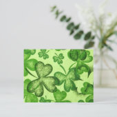 Shamrocks - Demande de carte postale (Debout devant)