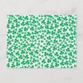 Shamrocks for St Patrick's Day Briefkaart (Voorkant)