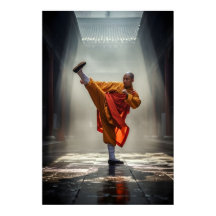 Shaolin Kung Fu Warrior
