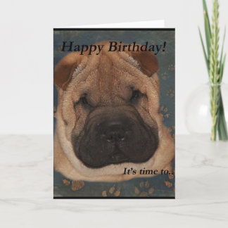 Shar Pei Birthday-Take Paws Kaart