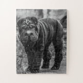SHAR PEI BLACK DOG JIGSAW PUZZLE (Vertical)
