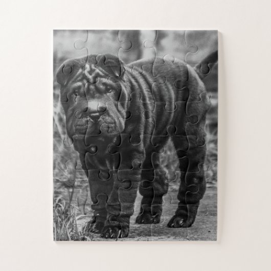 SHAR PEI BLACK DOG JIGSAW PUZZLE (Vertical)