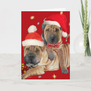 Shar-pei Brothers Kerstmis Kaarten