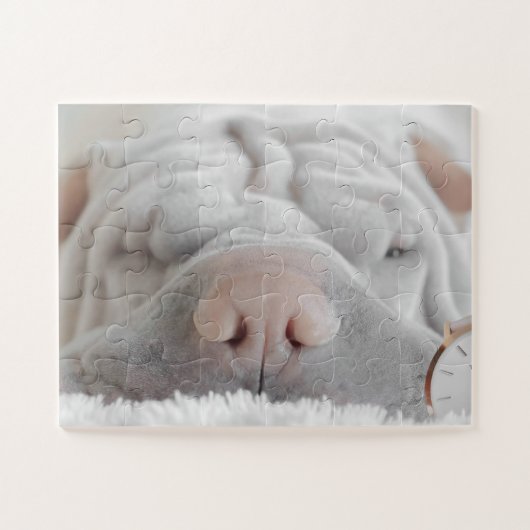 SHAR PEI CHIEN CLOSEUP PUZZLE (Horizontal)