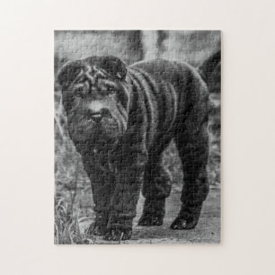 SHAR PEI CUTE DOG JIGSAW PUZZLE LEGPUZZEL