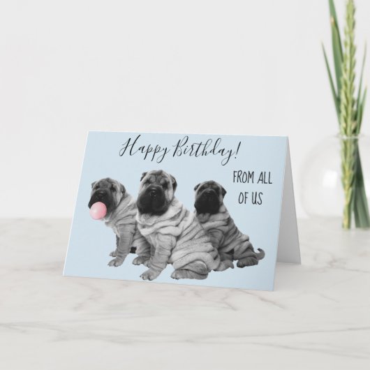 Shar Pei Happy Birthday uit ons allemaal puppy Kaart (Voorkant)
