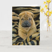 Shar-Pei Kaart van het 4 week de oude Jong (Gele Bloem)