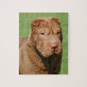 Shar Pei Legpuzzel