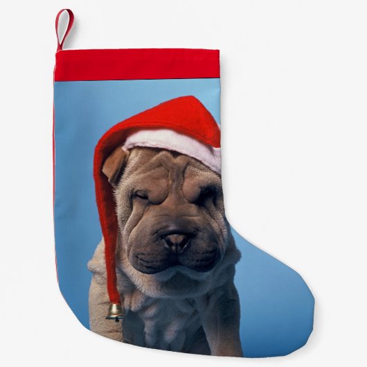 Shar pei met x-mas pet kleine kerstsok (Voorkant)