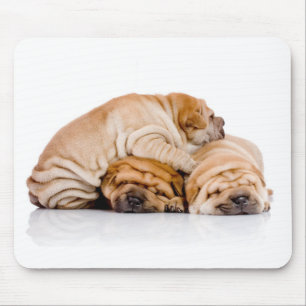 Shar Pei Muismat