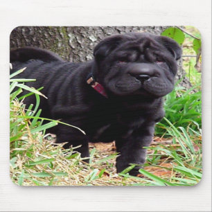 Shar-pei-Muismat Muismat