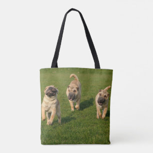 Shar Pei-Puppies Draagtas