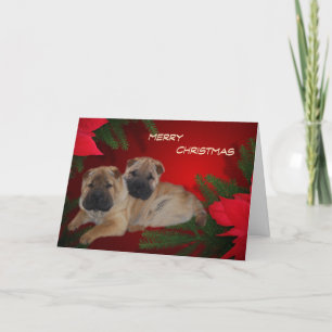 Shar Pei Puppies Poinsettia-kaart Feestdagen Kaart
