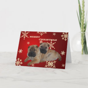 Shar Pei Puppies Snowflake kaart
