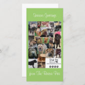 Shar Pei-reddingskerstkaart Feestdagenkaart (Voorkant / Achterkant)