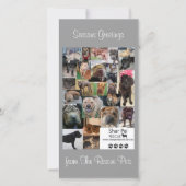Shar Pei-reddingskerstkaart Feestdagenkaart (Voorkant)