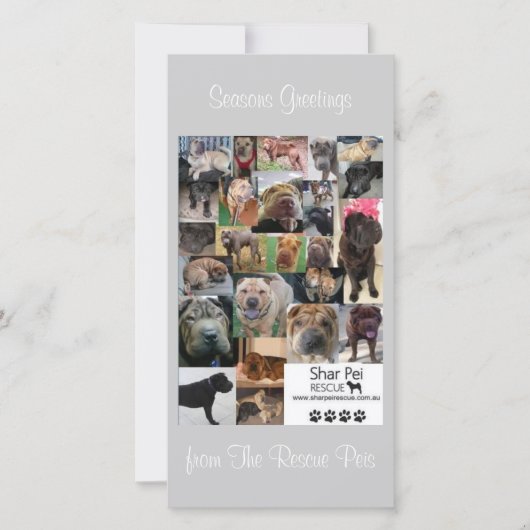 Shar Pei Rescue Xmas Kaart (Voorkant)