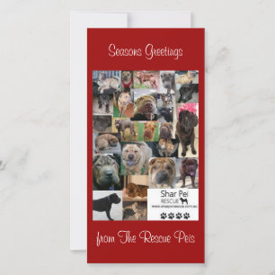 Shar Pei Rescue Xmas Kaart