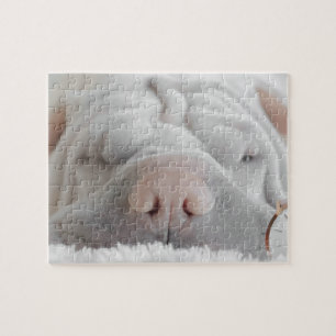 SHAR PEI SLEEPY DOG CLOSEUP PUZZLE LEGPUZZEL