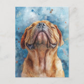 Shar Pei Waterverf schilderij Briefkaart (Voorkant)