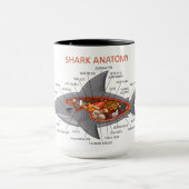 Shark Anatomy Mok (Midden)