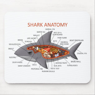Shark Anatomy Muismat