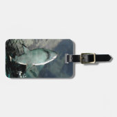 Shark Bag Label Bagagelabel (Voorkant horizontaal)