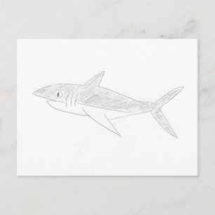 Shark Drawing Briefkaart
