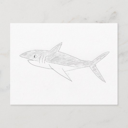 Shark Drawing Briefkaart (Voorkant)