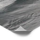 Shark Fin Poster (Hoek)