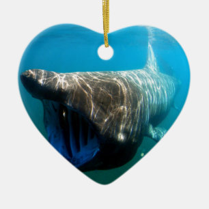 Shark Fish Ocean Tropical Ocean Destiny Gifts Keramisch Ornament